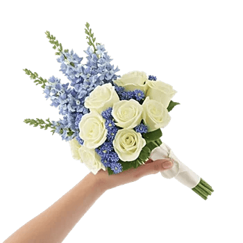 Blossom Petal Serenity