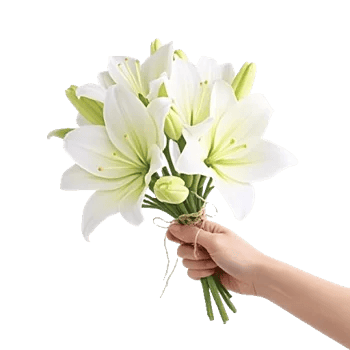 Graceful Lily Display