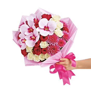 Orchid Bloom Cascade