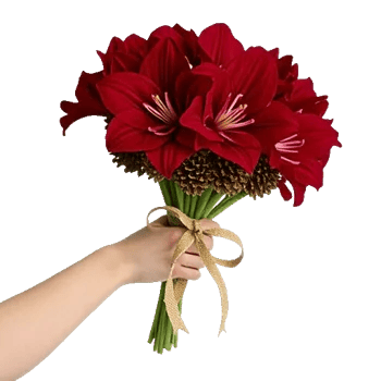 Crimson Rose Elegance