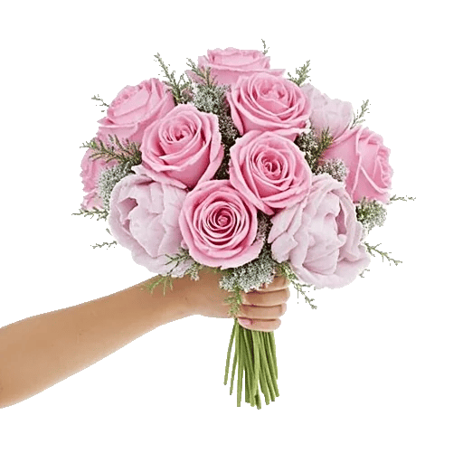 Pastel Pink Roses