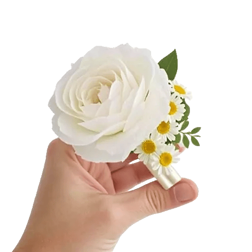 Delicate Petal Cascade