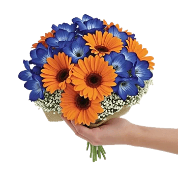 Serenity Blossom Grace