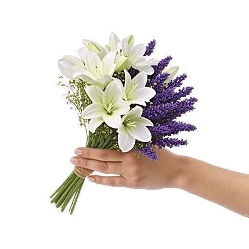 Ivory Garden Grace
