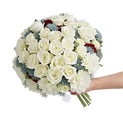 Serene Petal Harmony