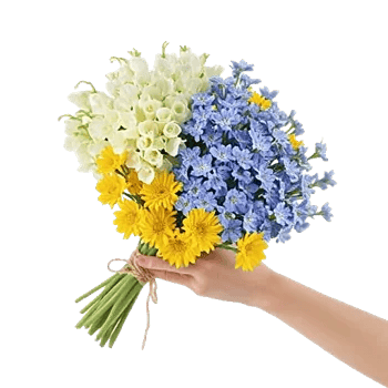 Blossom Harmony Display