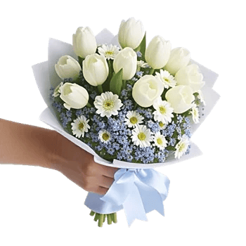 Blossom Harmony Display