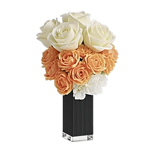 Petal Radiance Bliss