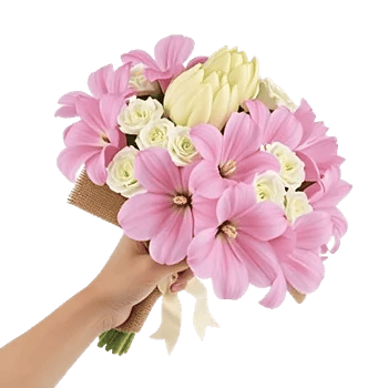 Blushing Rose Symphony