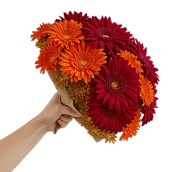 Crimson Blossom Harmony