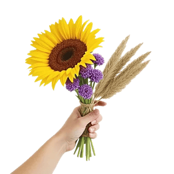 Twinkling Sunflower Dance