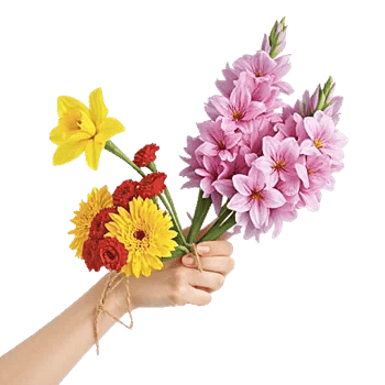 Petal Radiance Bliss