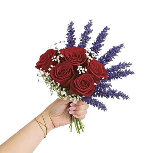 Crimson Rose Elegance