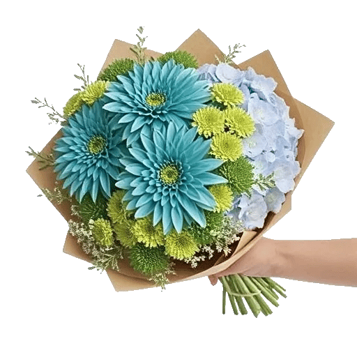 Serene Petal Harmony