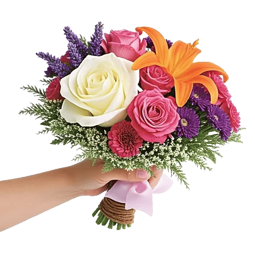 Blushing Rose Symphony