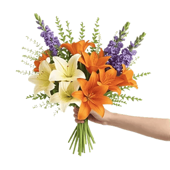 Graceful Lily Display