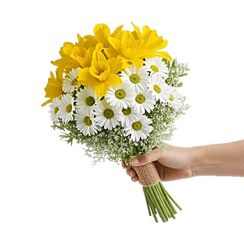 Blossom Harmony Display