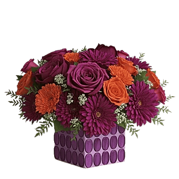 Petal Radiance Bliss
