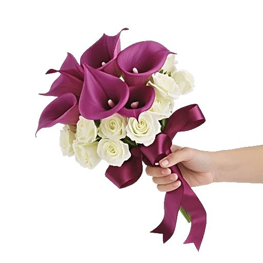 Elegant Calla Lilies