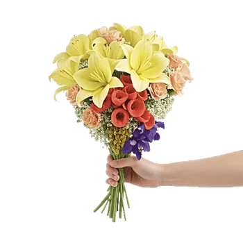 Elegant Calla Lilies