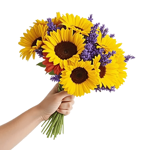 Twinkling Sunflower Dance