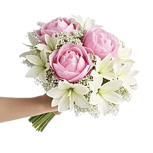Peony Petal Harmony