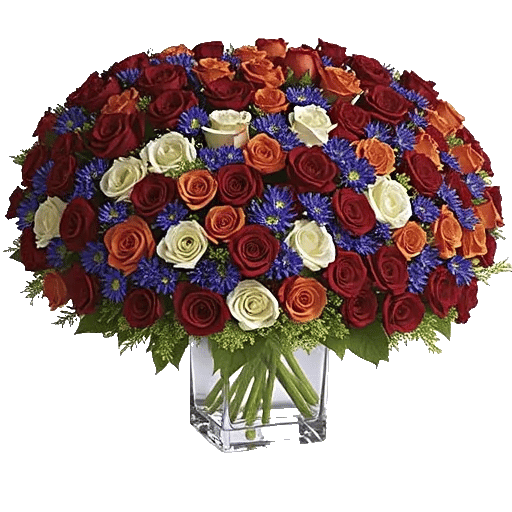 Radiant Rose Symphony