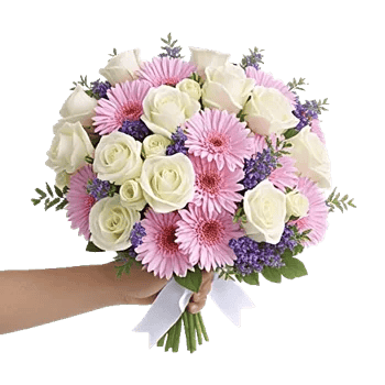 Blushing Rose Symphony