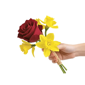 Crimson Rose Elegance