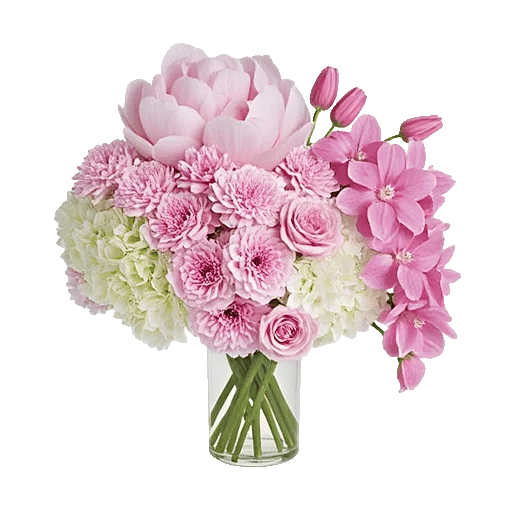 Petal Radiance Bliss