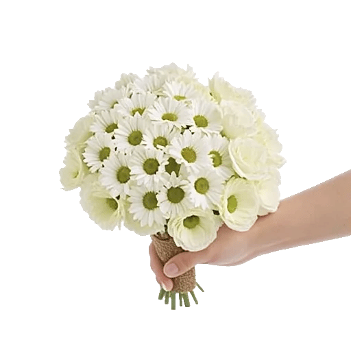 Delicate Petal Cascade