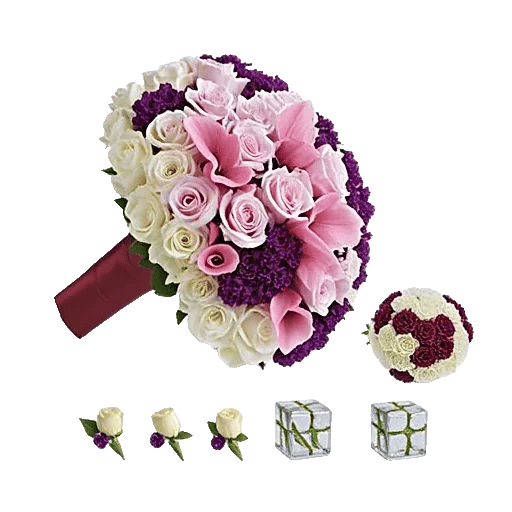 Elegant Calla Lilies