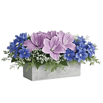 Blossom Petal Serenity