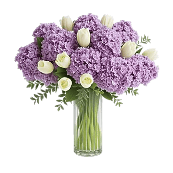 Ivory Blossom Radiance