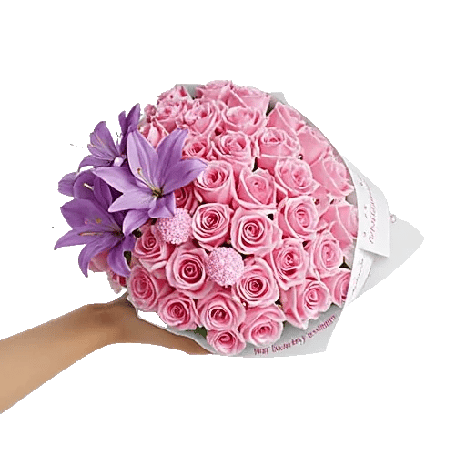 Blushing Rose Symphony