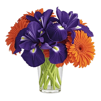 Ivory Blossom Radiance