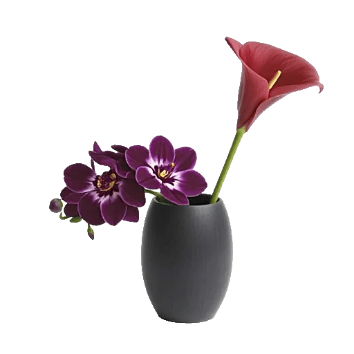 Elegant Calla Lilies