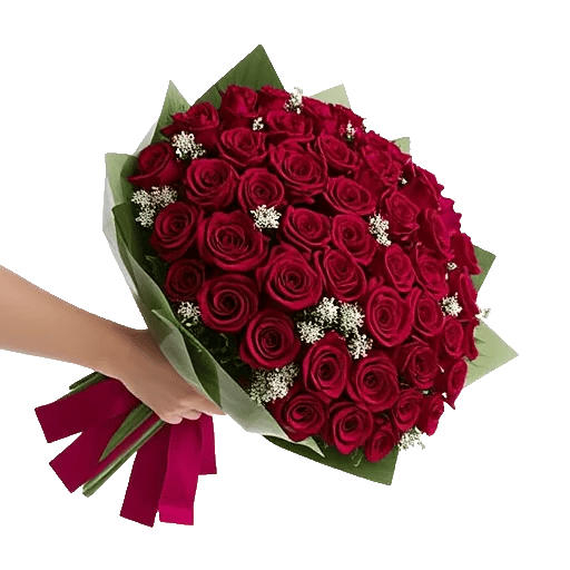 Crimson Rose Elegance