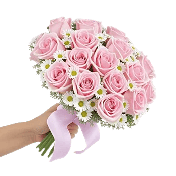 Pink Pastel Roses