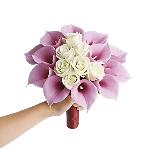 Elegant Calla Lilies