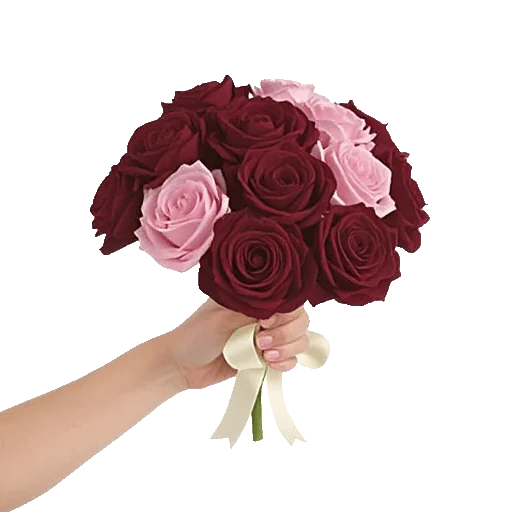 Crimson Rose Elegance