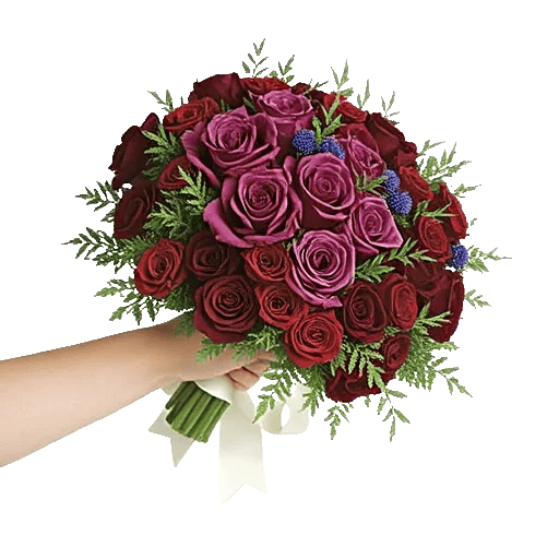 Delicate Petal Cascade