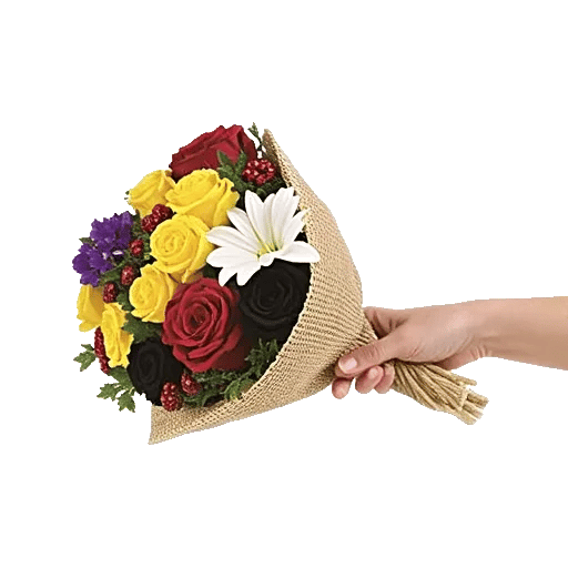 Blossom Harmony Display