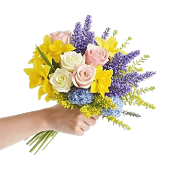 Serene Petal Harmony