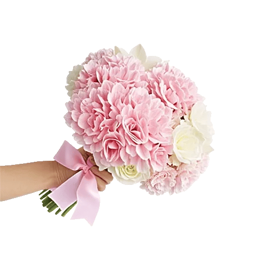 Petal Grace Harmony