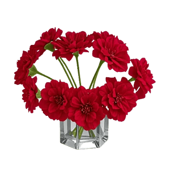 Petal Radiance Bliss