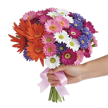 Petal Harmony Bliss