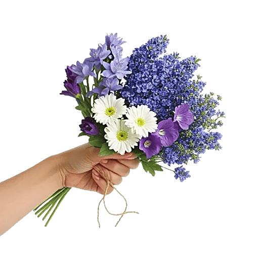 Blossom Petal Serenity