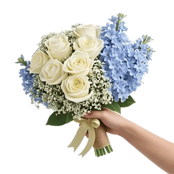 Blossom Petal Serenity