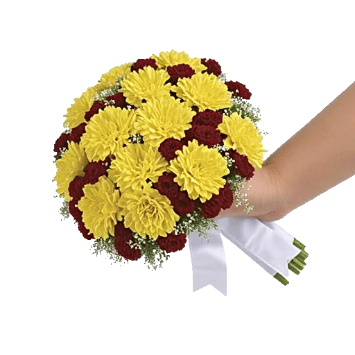 Petal Harmony Bliss